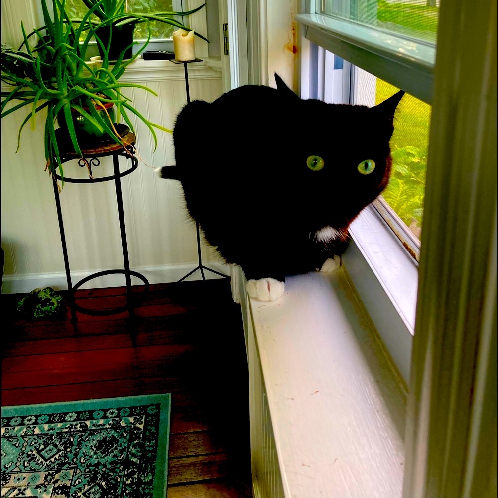 Meet your Posher, Claire